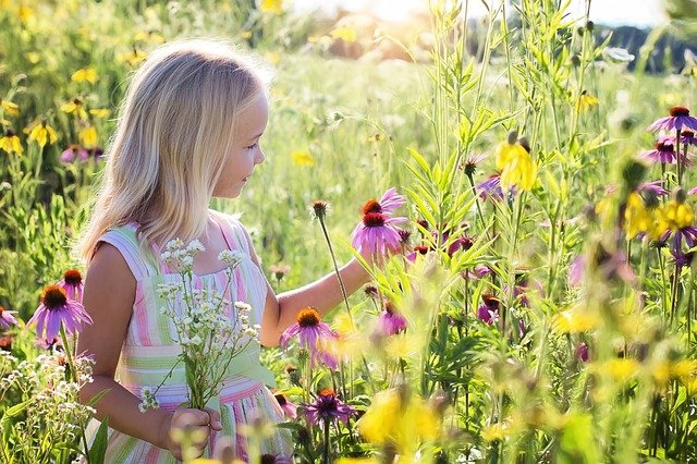 Girl in field of flowers